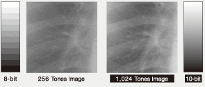 10-Bit Simultaneous Grayscale Display