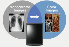 Monochrome and Color Images